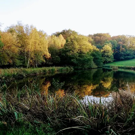 Klaerke *