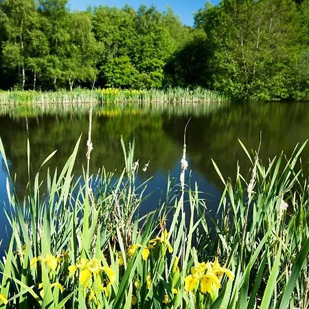 Klaerke